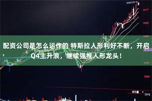 配资公司是怎么运作的 特斯拉人形利好不断，开启Q4主升浪，继续强推人形龙头！